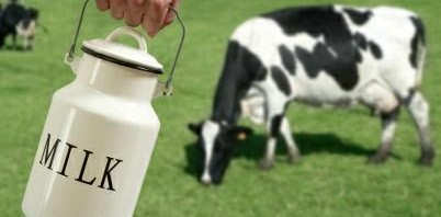 Проблемы производства молока