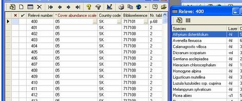Фито – европейский опыт