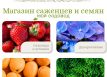 Категория товаров магазина