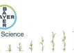 Bayer Crop Science