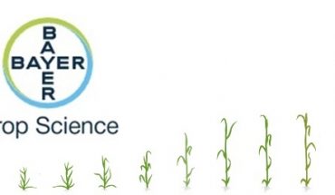 Bayer Crop Science