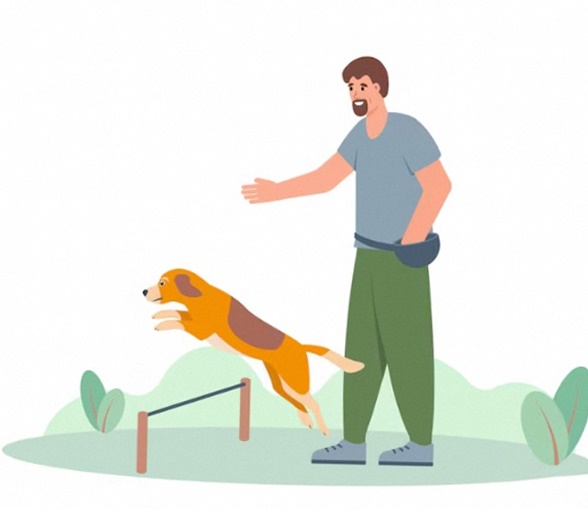 Дрессировка собак